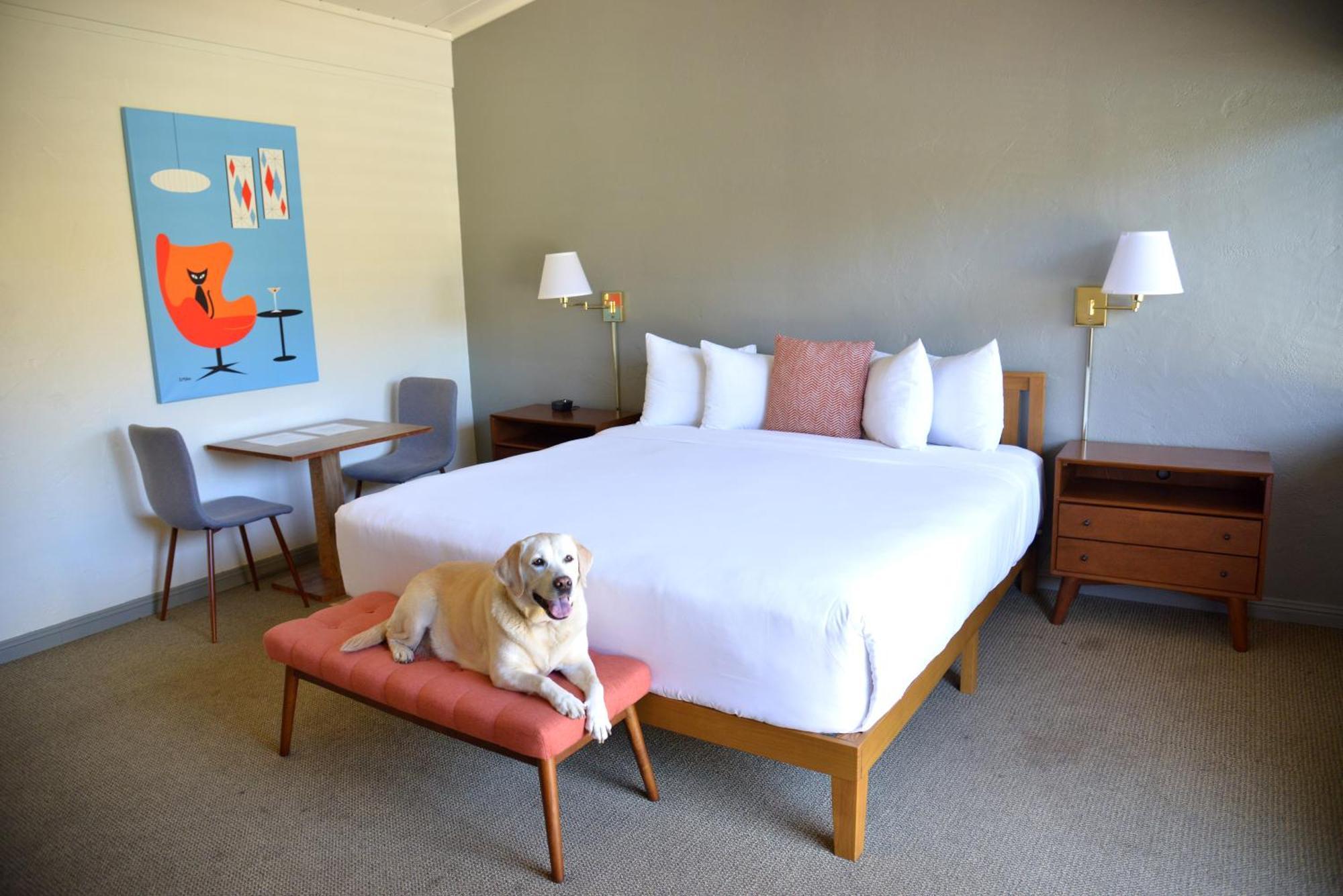 Contenta Inn คาร์เมลวัลเลย์ ภายนอก รูปภาพ